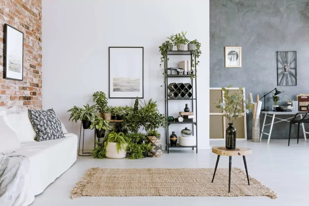 Jakie ozdoby do salonu? Inspiracje i pomysły na stylowy wystrój