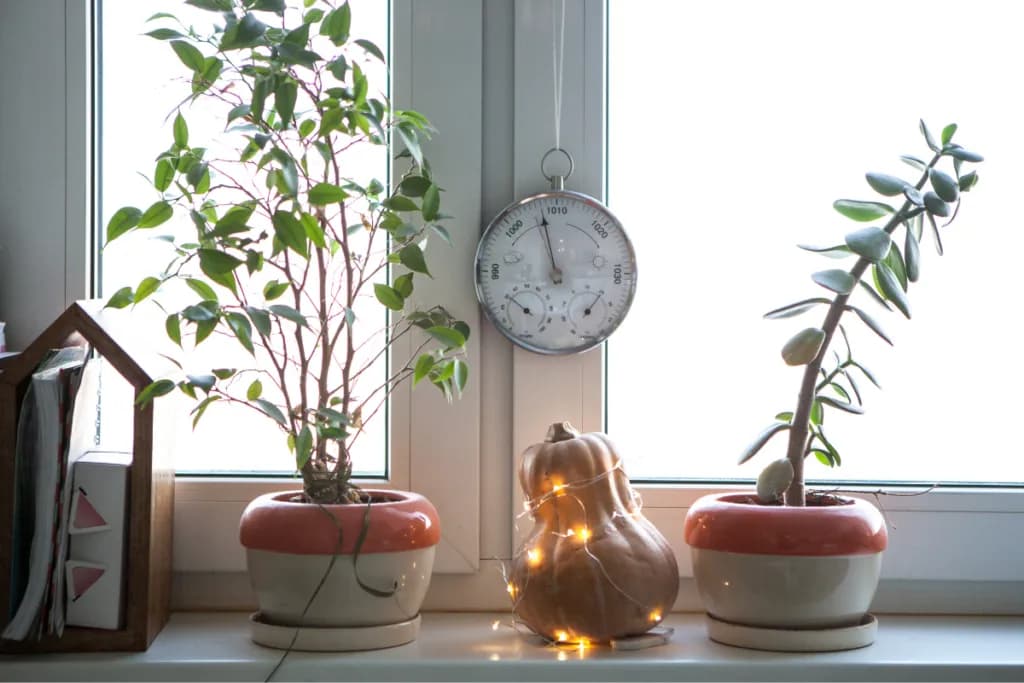 Co na parapet do łazienki? Najlepsze pomysły na stylową aranżację